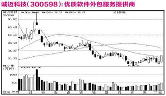 公司研究之機構關注個股